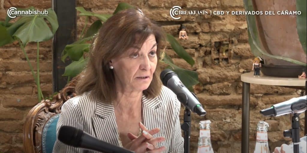 Araceli Manjón-Cabeza Olmeda, Catedrática de Derecho Penal