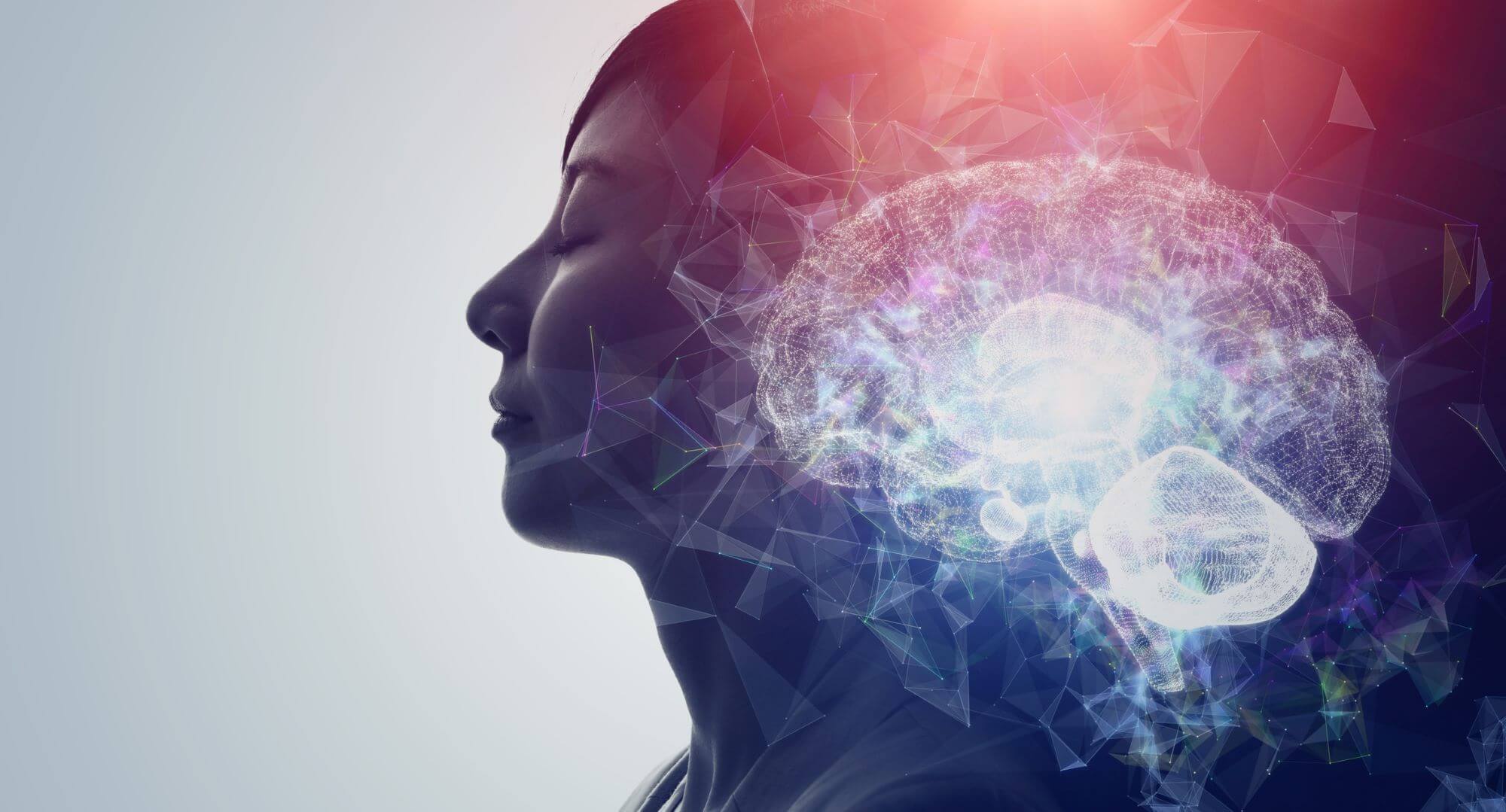 CBD y Cerebro: Cómo Ayuda al Equilibrio Mental