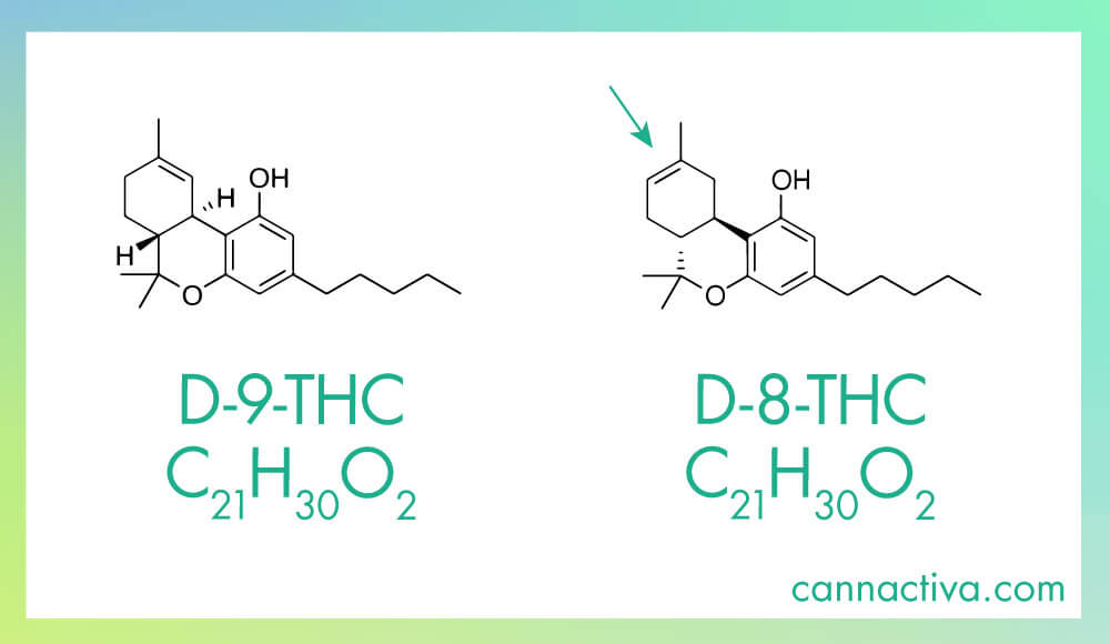 Fórmula química y molécula de Delta-9-THC y Delta 8 THC, donde se aprecian sus diferencias.