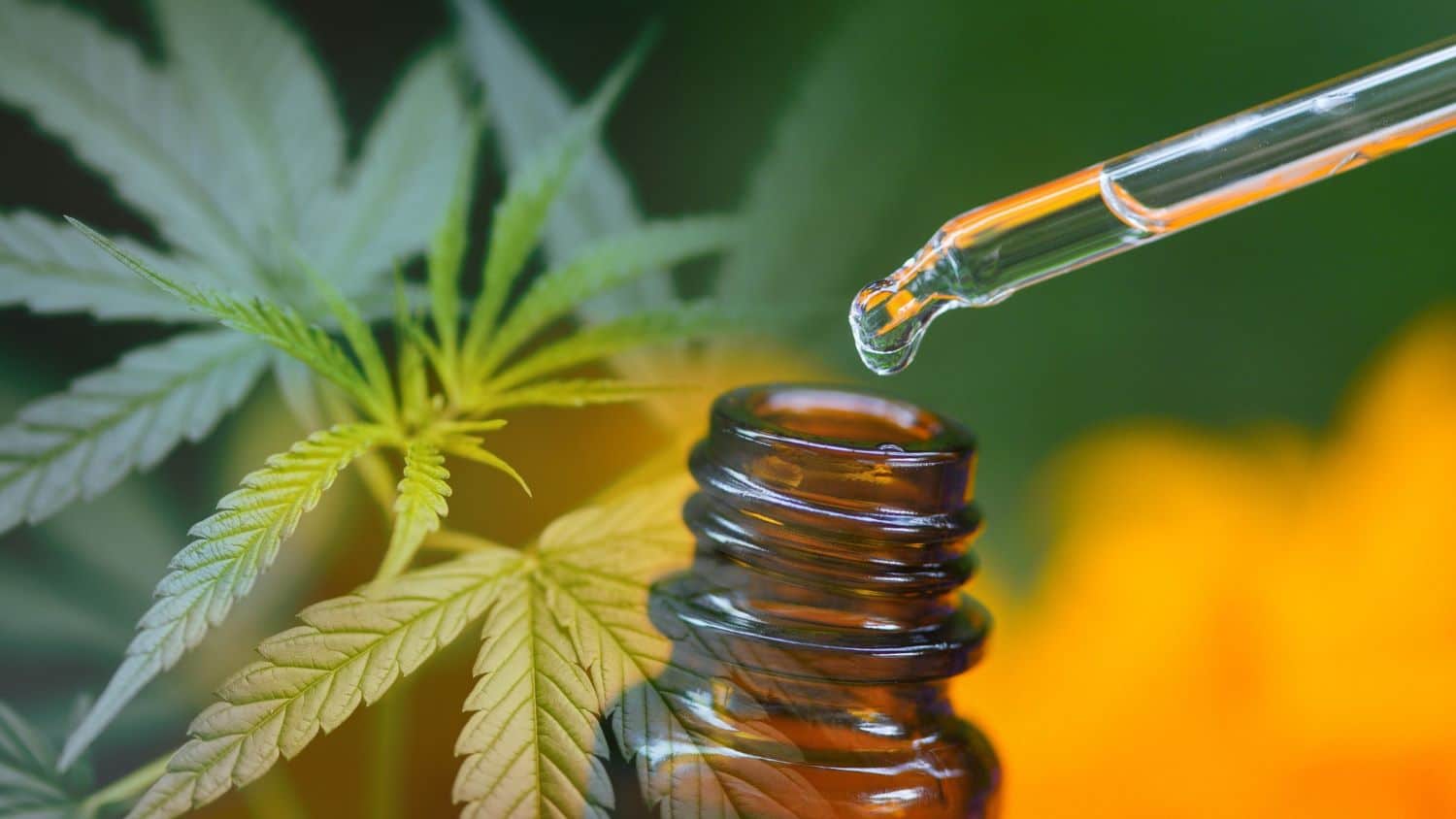 CBD Para Dejar los Porros de THC: ¿Es efectivo?