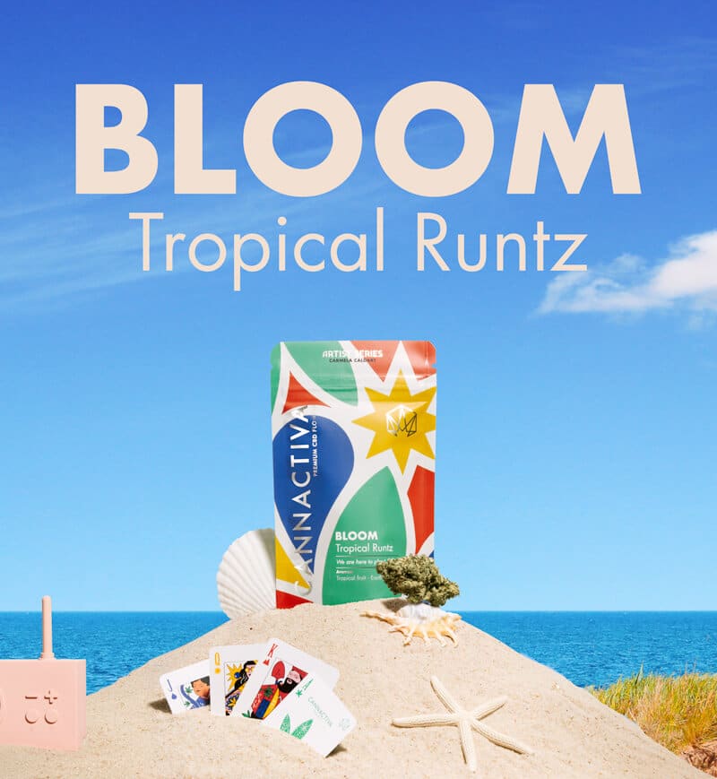 Nueva Flor de CBD Bloom (Tropical Runtz)