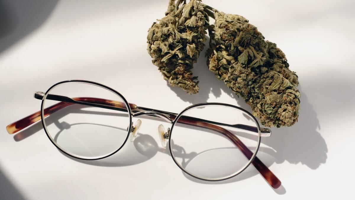 Cannabis para el Glaucoma: Una Historia de Medicina y Activismo