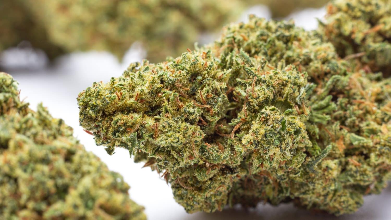 Cogollos de Cannabis Premium