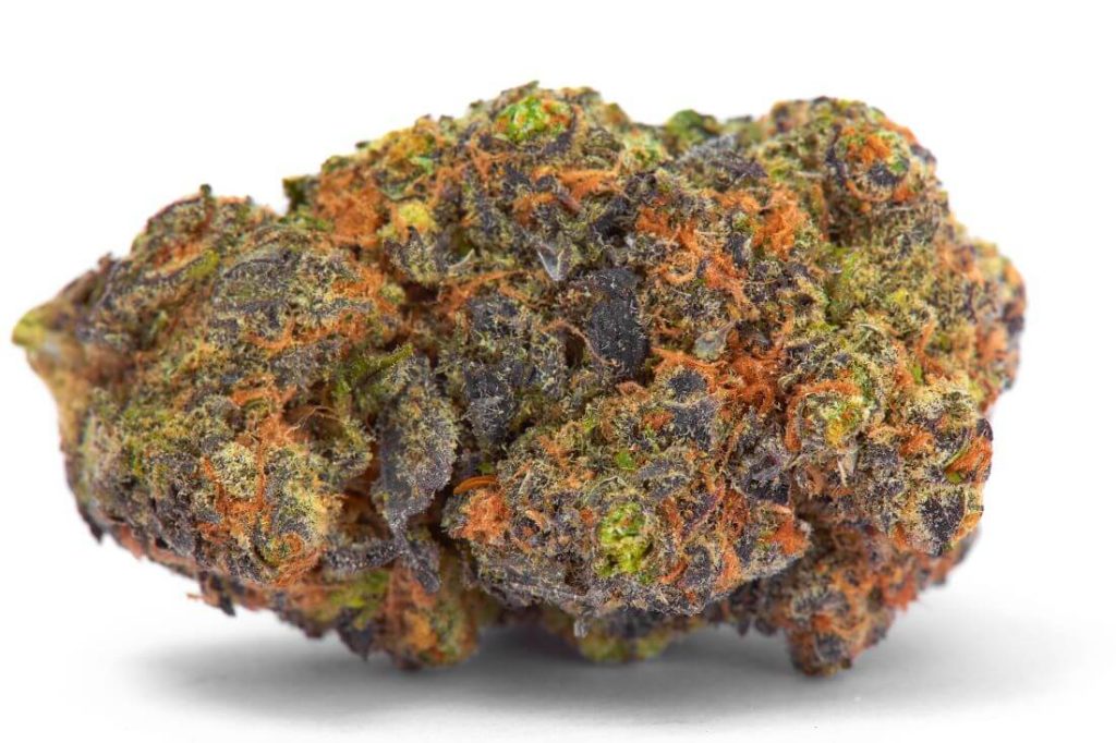 Los cogollos tratados con PGR suelen ser muy redondeados, compactos y con una distribución de los tricomas irregular. Tienen una apariencia extravagante, pero poca cantidad de resina, aroma y potencia.
