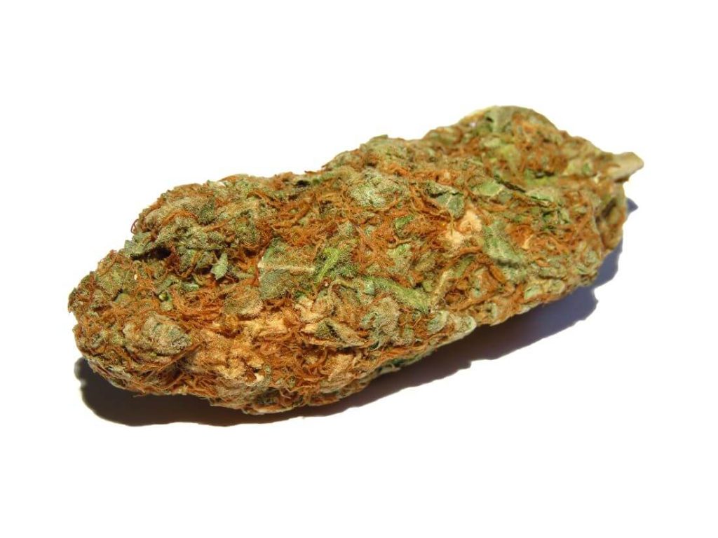 Los cogollos tratados con PGR suelen ser muy redondeados, compactos y con una distribución de los tricomas irregular. Tienen una apariencia extravagante, pero poca cantidad de resina, aroma y potencia.