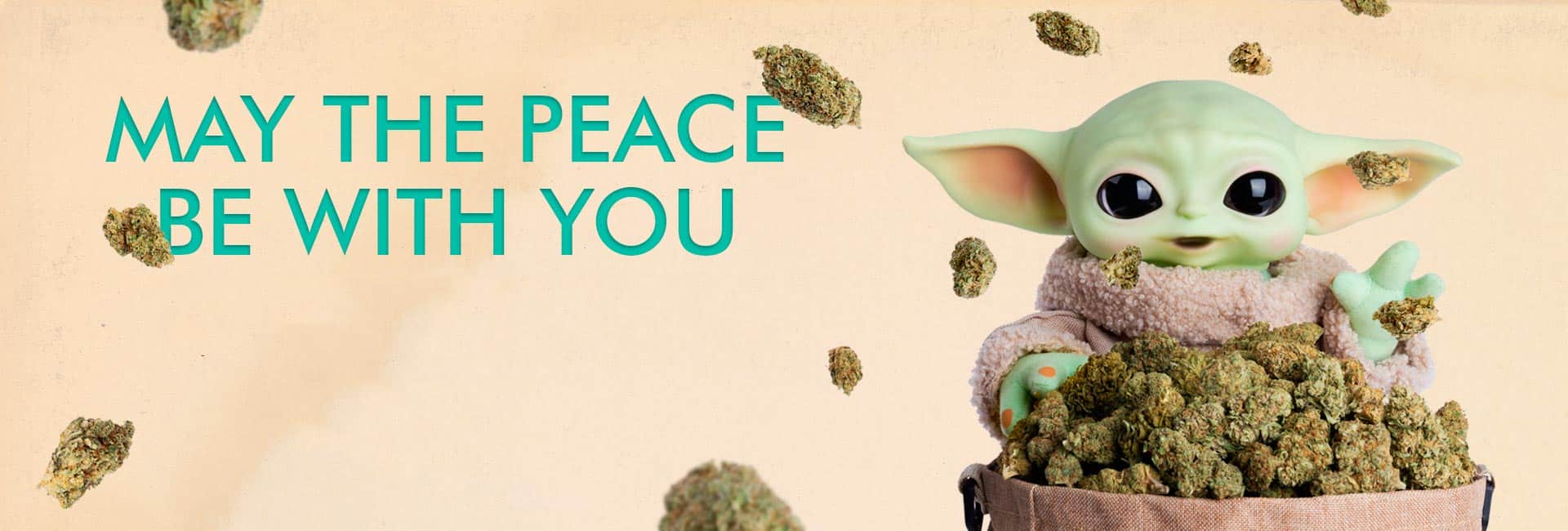 Día Mundial de Star Wars: May the 4th Be With You