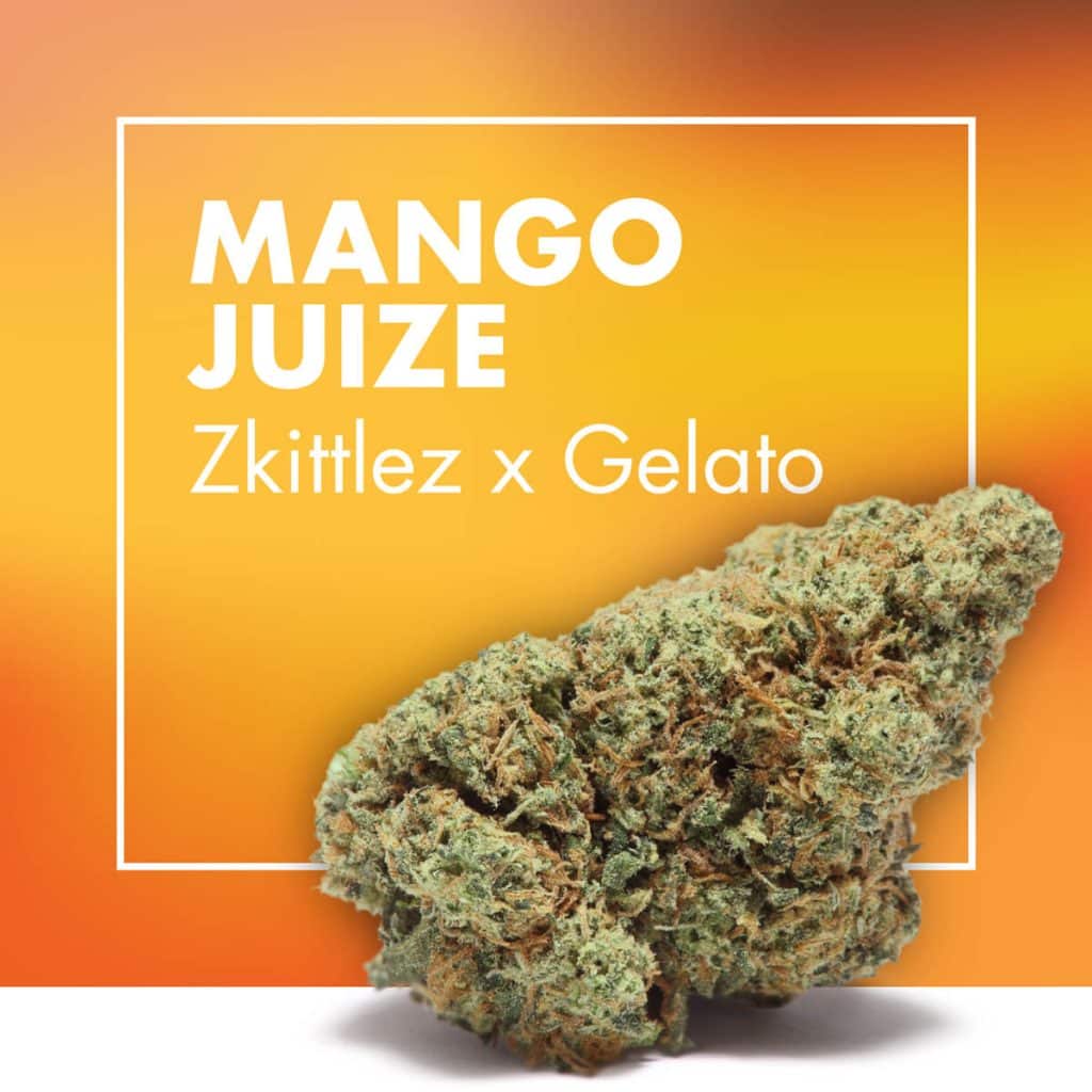 Flor CBD Mango Juize Zkittlez x Gelato