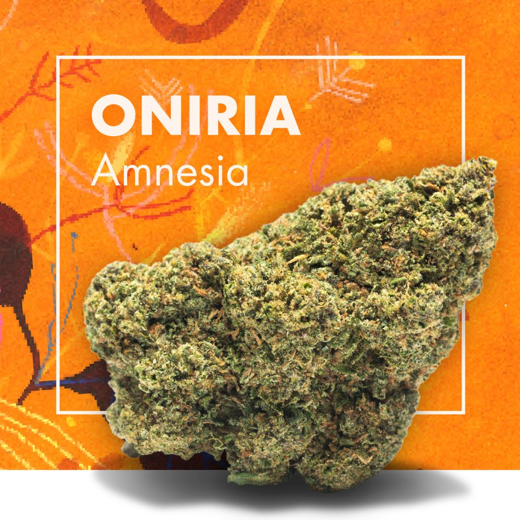 Oniria Amnesia Flores Cbd Indoor
