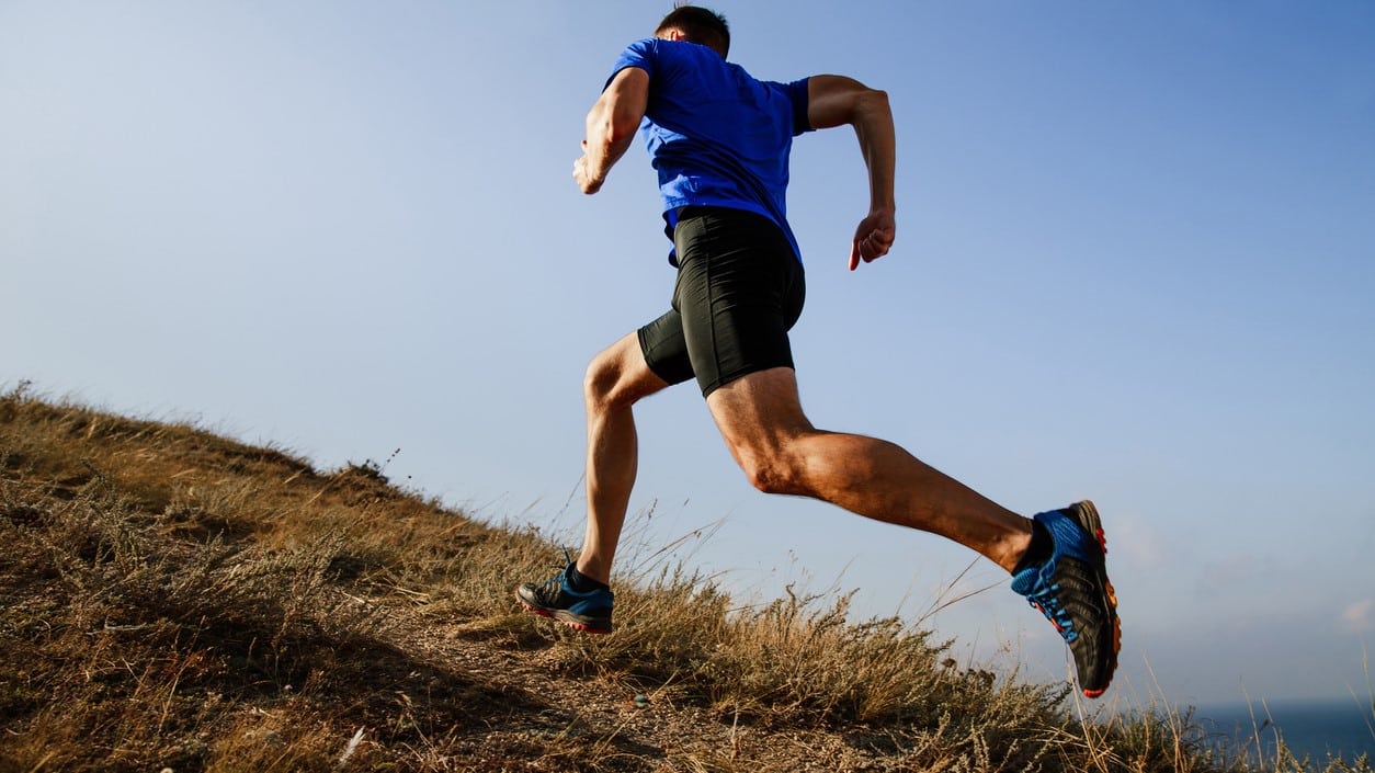 CBD, Recuperación Muscular Y Rendimiento Deportivo