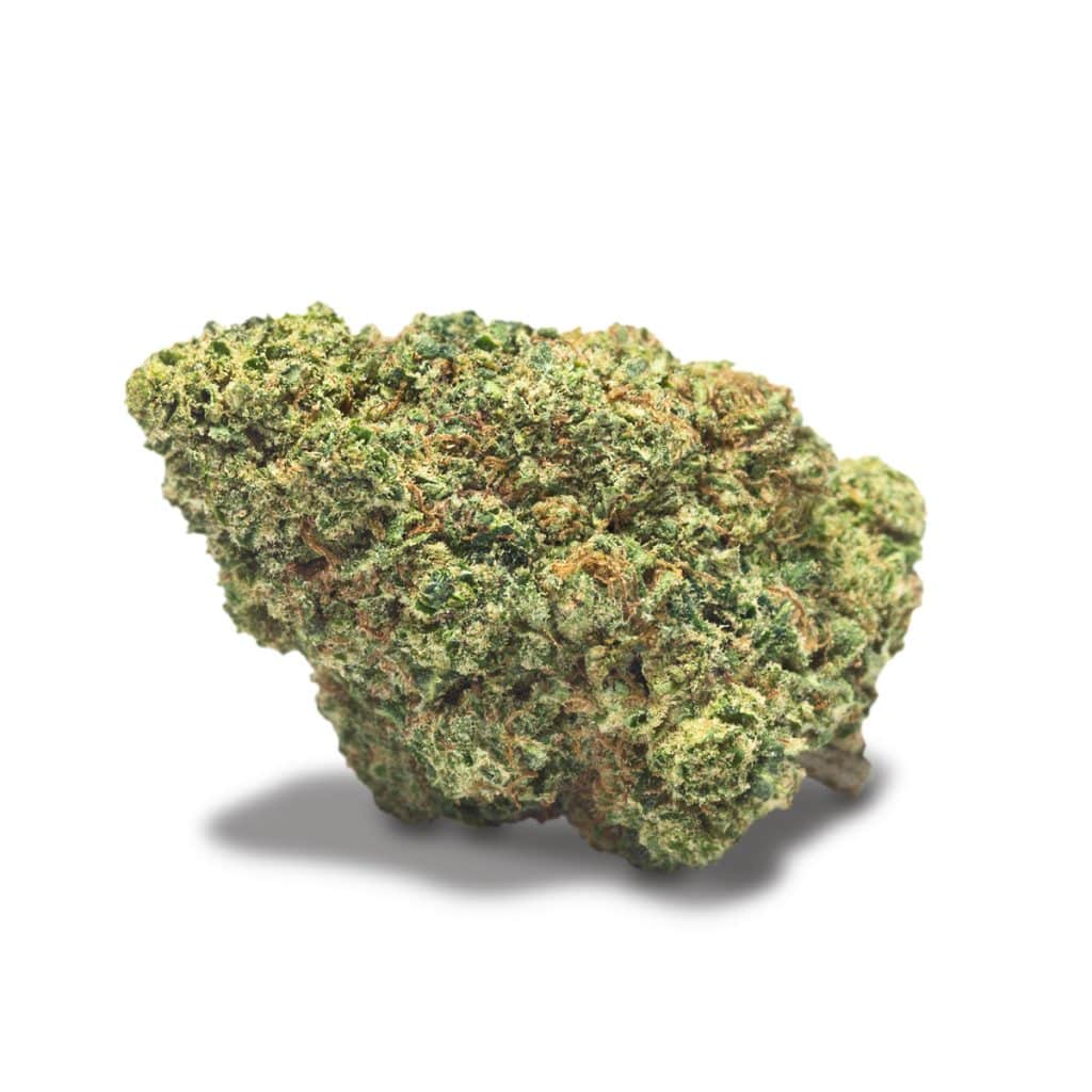 COOKIES XO - Chocolope Cookies