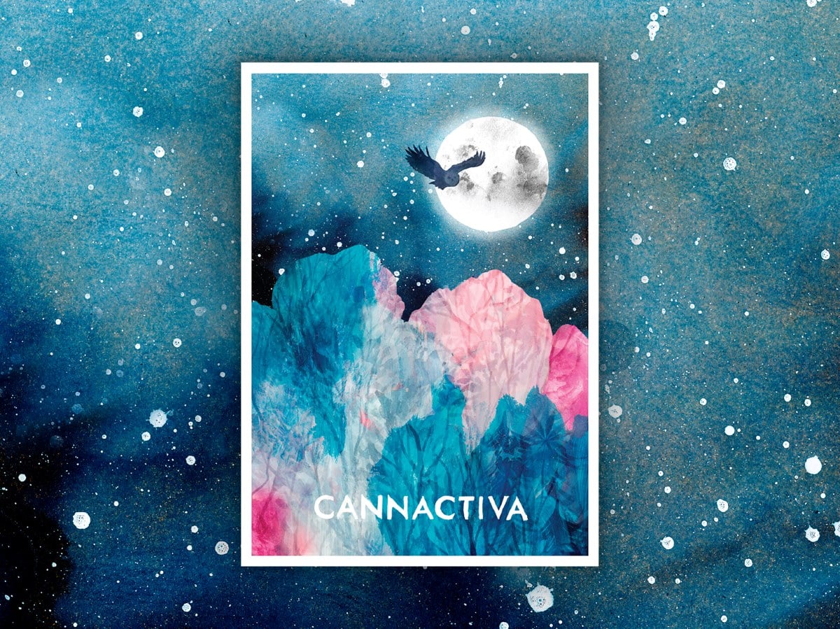 NOCHE – Postal de Invierno de Cannactiva 2024