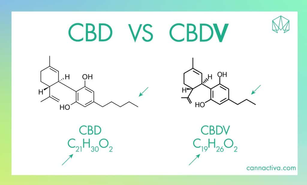 La molécula de CBD y CBDV se diferencian en la estructura o cadena lateral y fórmula química, lo que influye directamente en la forma en que cada compuesto actúa sobre el organismo.