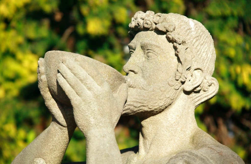 Baccus, Dios del Vino