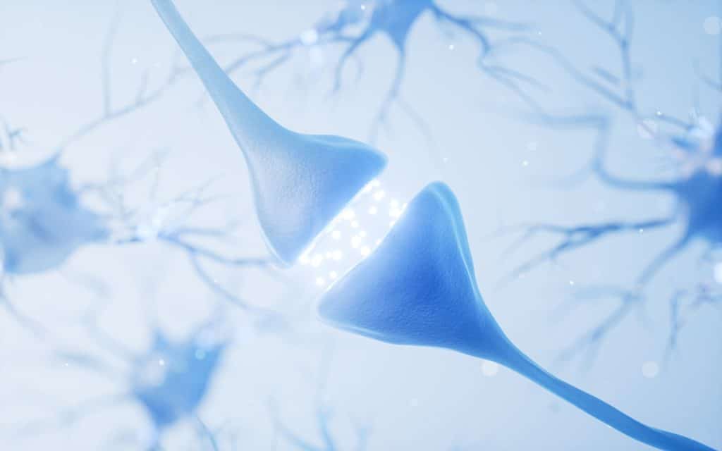 El glutamato se sintetiza a partir del aminoácido glutamina (presente en las proteínas de los alimentos) mediante la acción de la enzima glutaminasa, que convierte la glutamina en glutamato dentro de las neuronas. Su fórmula química es C5H9NO4 y tiene una masa molar de 14 713 g/mol
