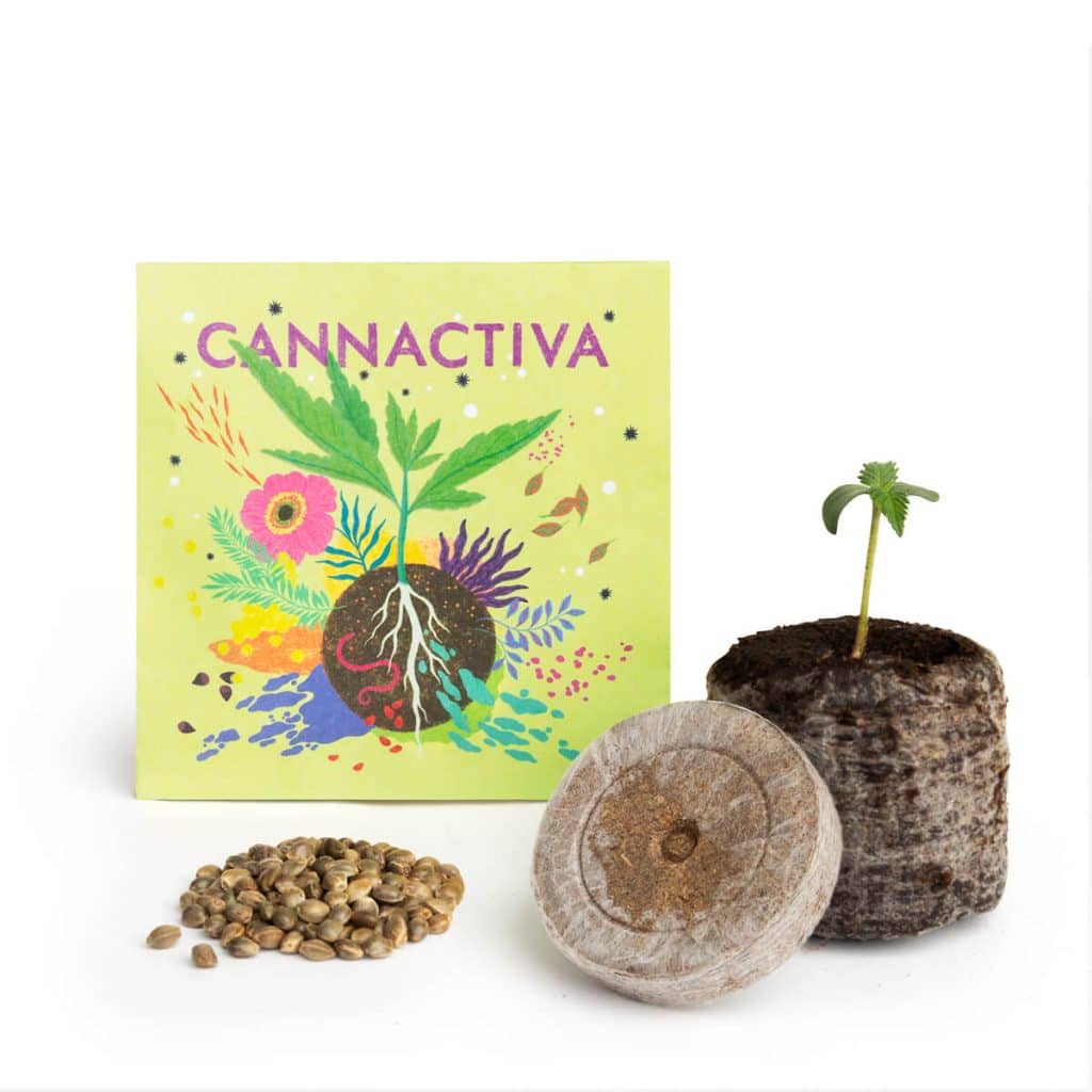 Regalo Semillas Producto Con Planta