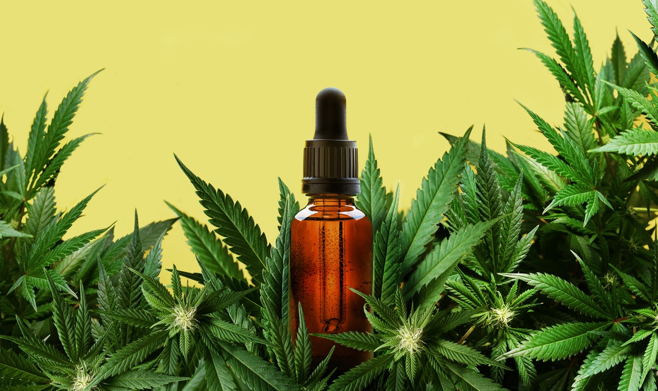 Aceite de CBD vs. Aceite de Cáñamo: ¿Cuál es la diferencia?