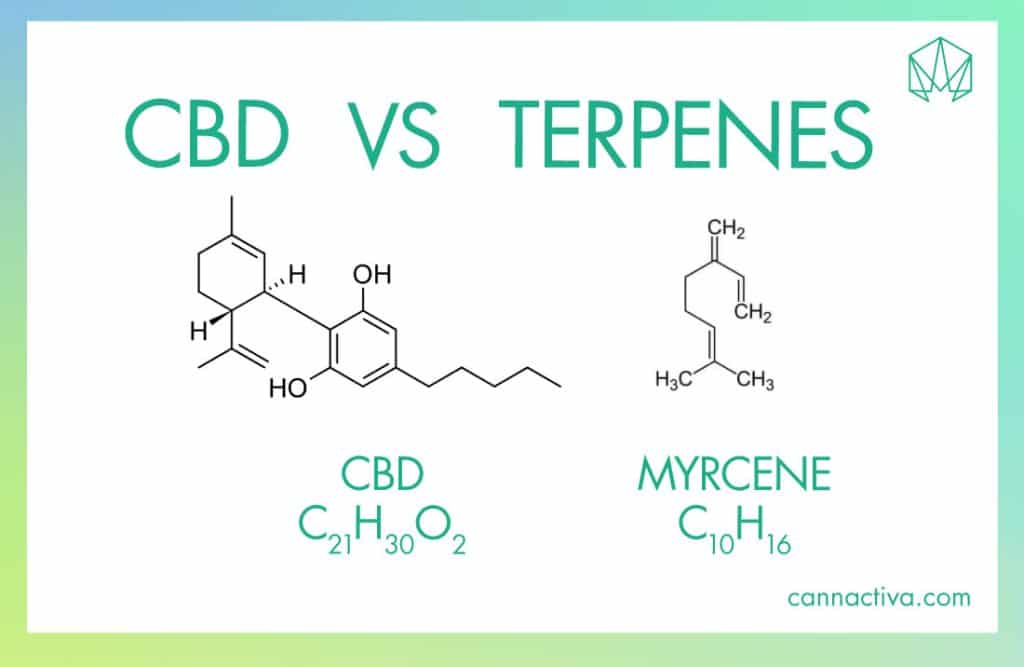 Diferencias Cannabinoides Terpenos