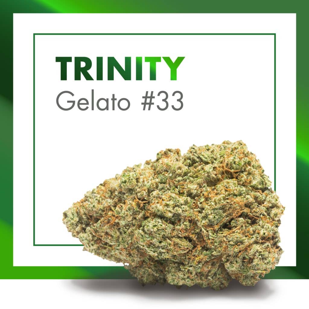 Trinity Gelato 33