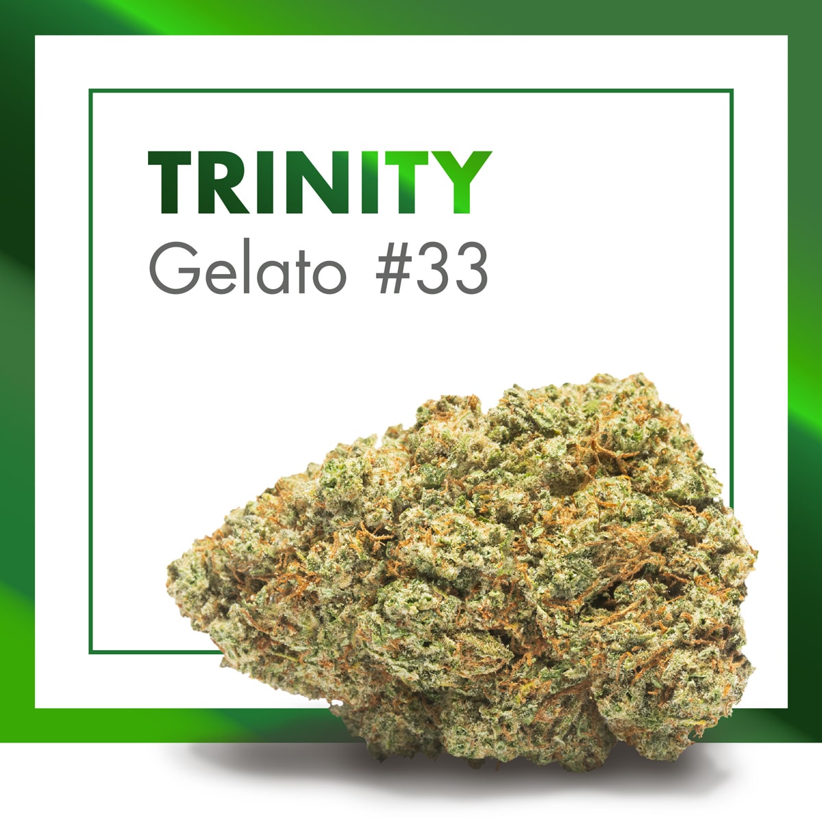 Trinity CBD Flowers 25% CBD | CBD INDOOR - Cannactiva
