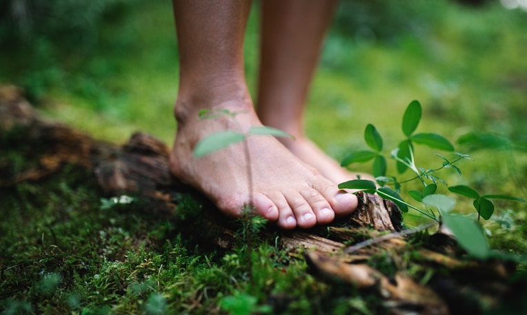 Disfruta del verano y del aire libre. Siente la energía del sol, los aromas del bosque y conecta con la fuerza de la naturaleza. 