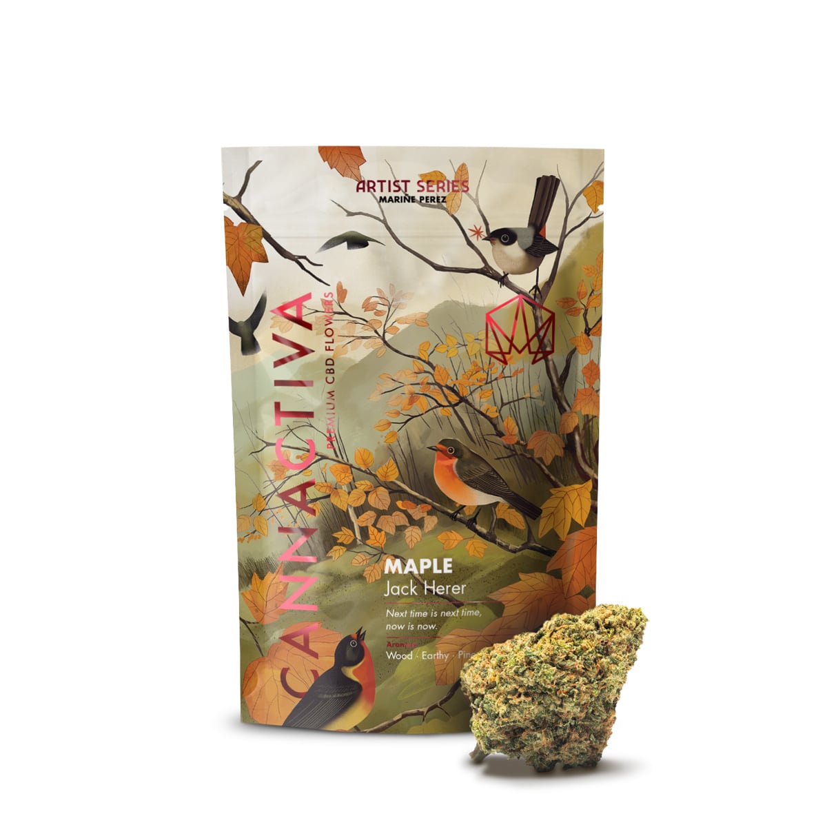 MAPLE | Jack Herer CBD 24% | Flores CBD Greenhouse - Cannactiva