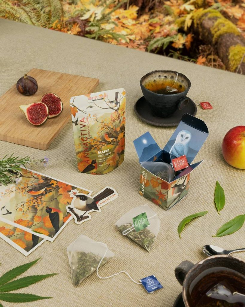 Marine Perez Ilustracion Otono Maple 4