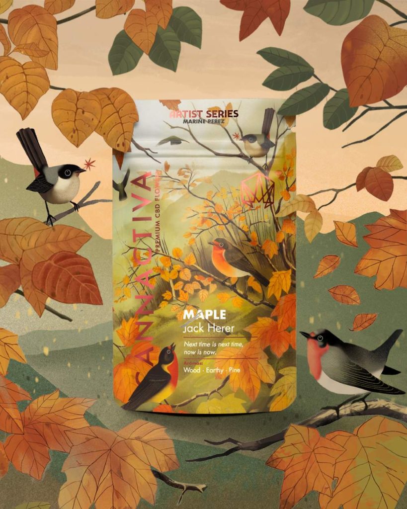 Marine Perez Ilustracion Otono Maple Jack Herer Cbd Doypack 2