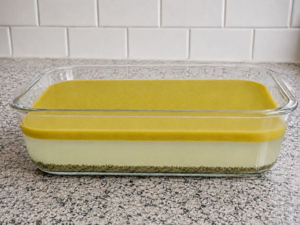 Boîte hermétique en verre avec le beurre de marijuana solidifié formant une plaque jaune verdâtre flottant sur une eau trouble après 24 heures au réfrigérateur