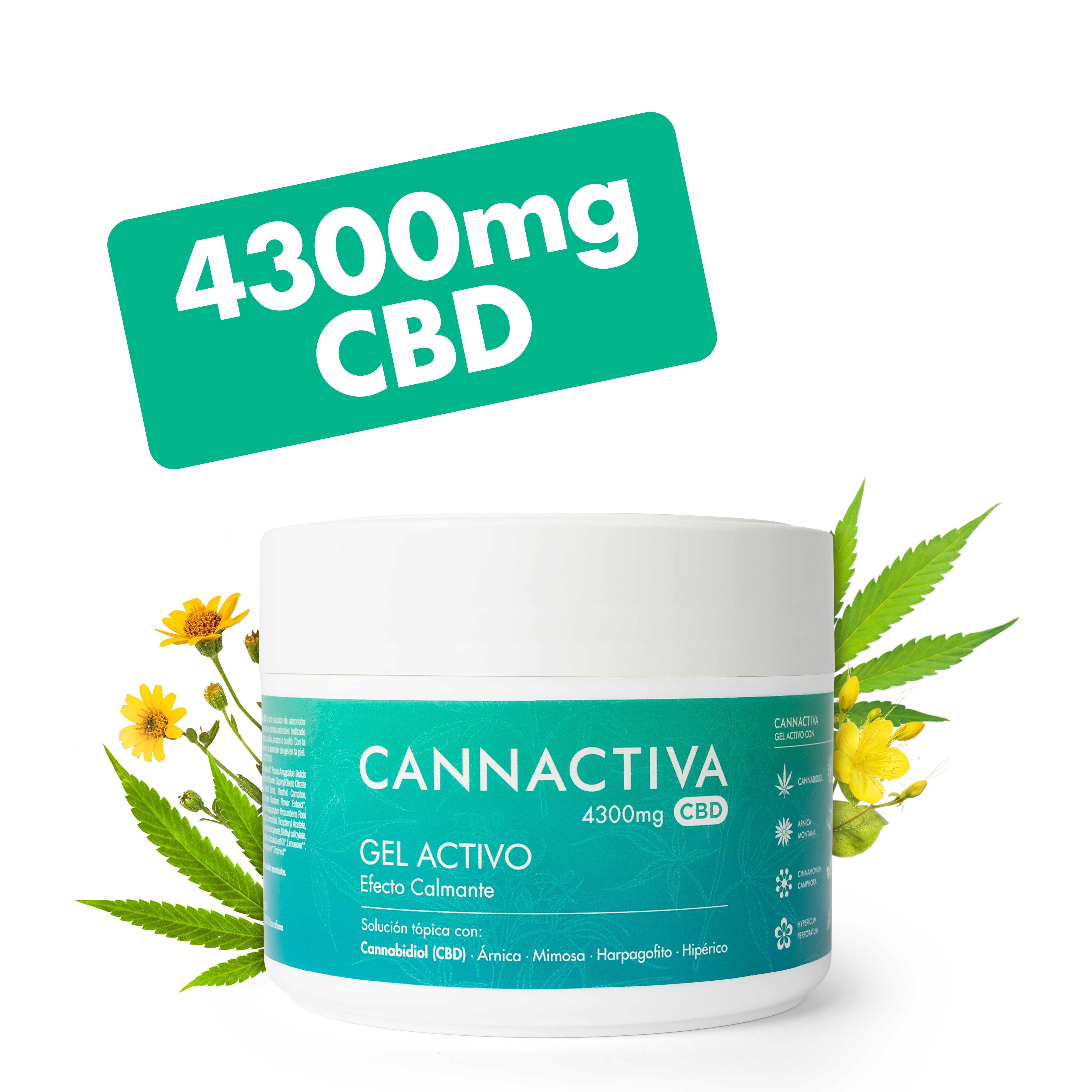 CBD-Creme  Schmerz und Erholung Khleffekt - Cannactiva