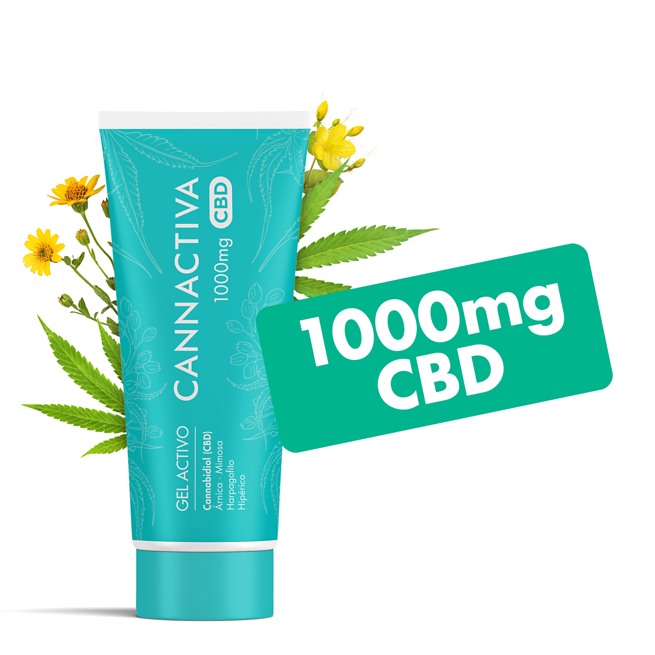 CBD Cream - Pain and Recovery Cold Effect - Cannactiva