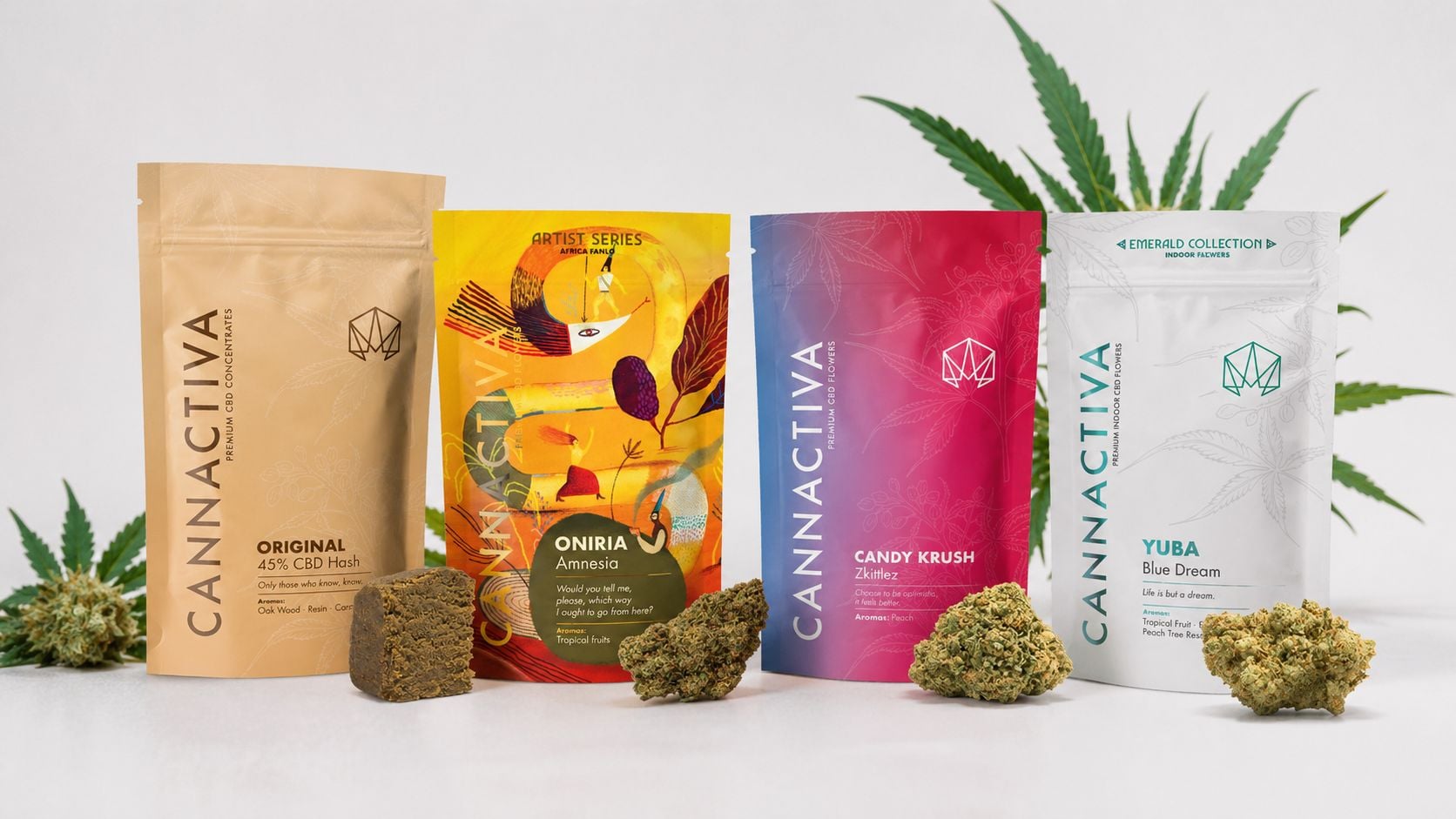 Stilleven met CBD-producten van Cannactiva: CBD-bloemen en CBD-hasj