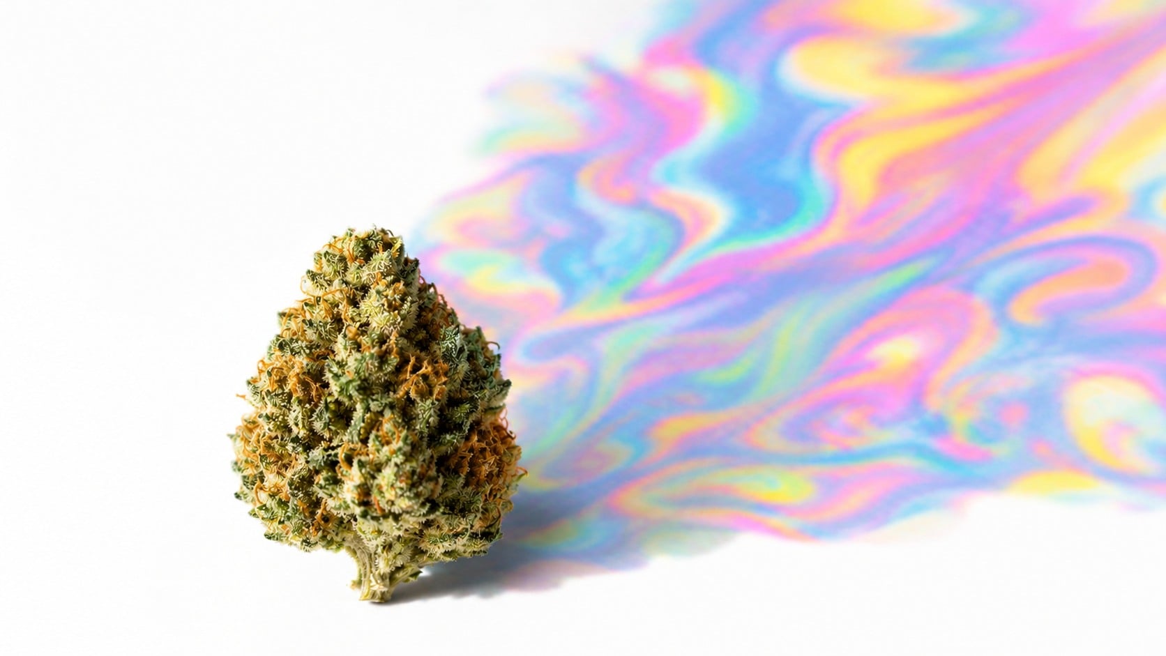 Word je high van CBD? Dit zegt de wetenschap