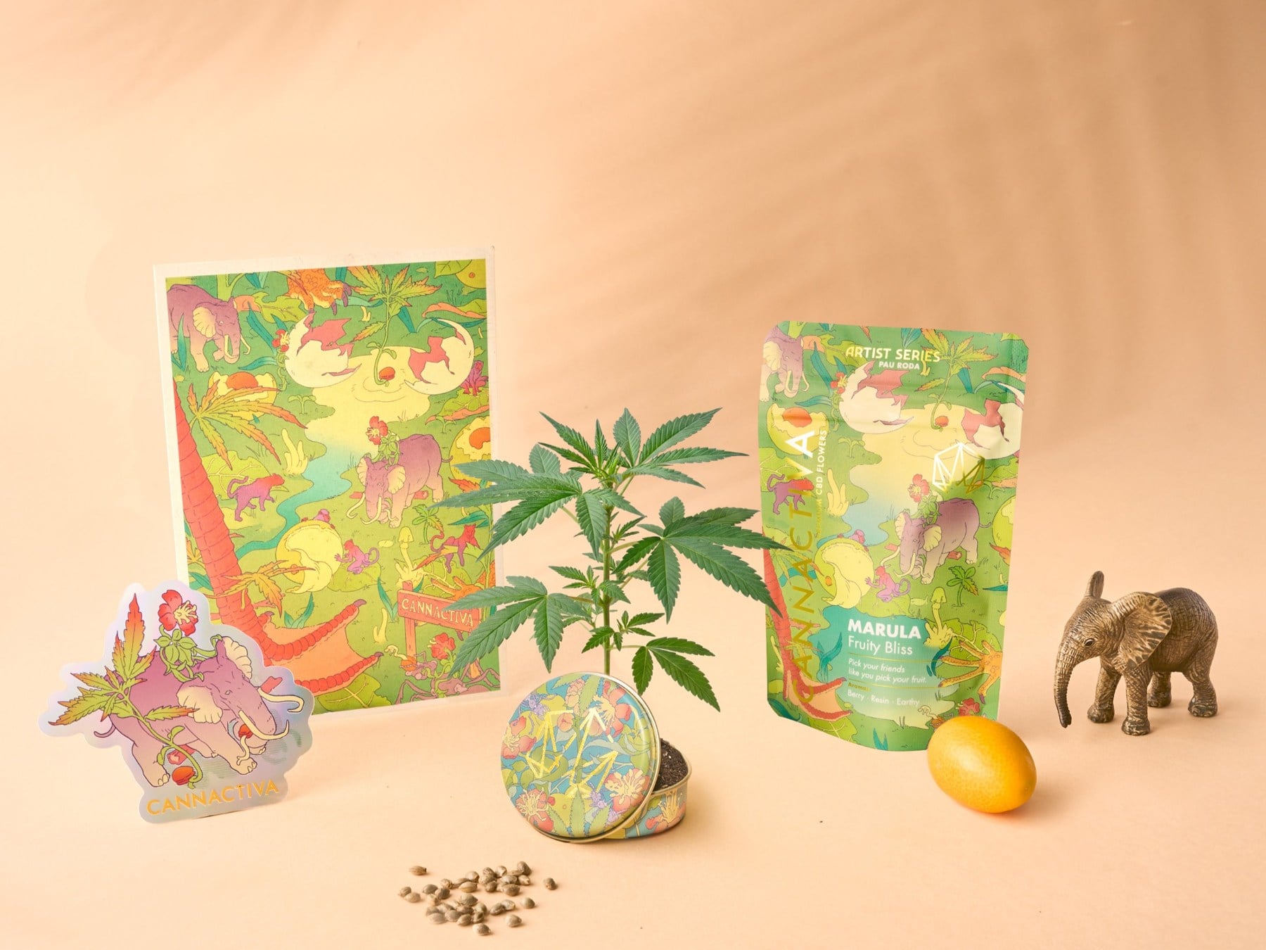 Colección Artist Series Primavera 2026 de Cannactiva: postal de Pau Roda, doypack de MARULA (Fruity Bliss), semillas y elefante